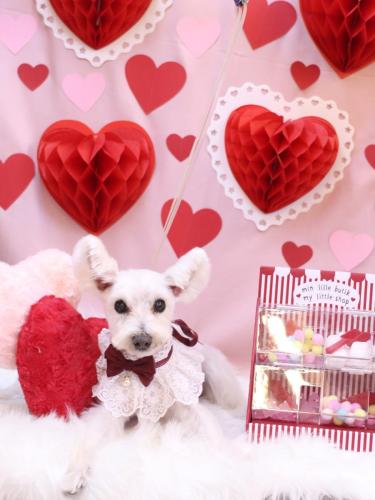 20240203小梅ちゃん 